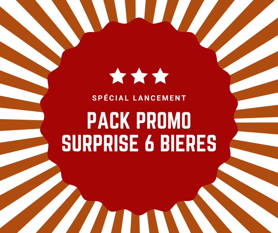 Pack Promo Surprise - 6 bières