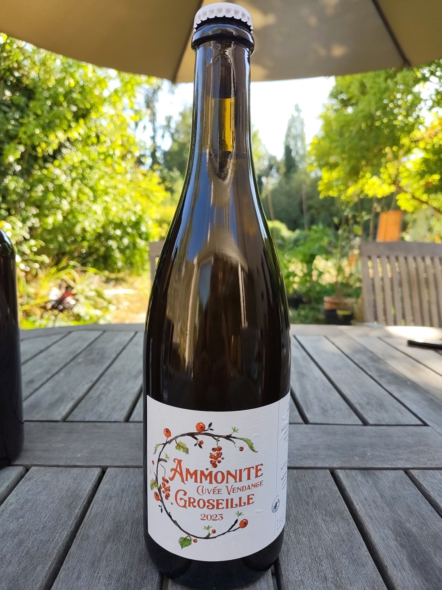 Ammonite cuvée vendange Groseille 2023 75cl